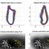 Shape Regularized Active Contour Using Iterative Global Search and Local Optimization
