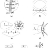 Shock Graphs and Shape Matching