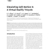 Simulating Self-Motion II: A Virtual Reality Tricycle