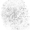 Singular point detection in fingerprints using quadrant change information