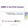 SNMP in the IPv6 context