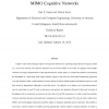 Spectrum management and power allocation in MIMO cognitive networks