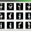 Spin Images for Retrieval of 3D Objects by Local and Global Similarity