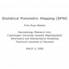 Statistical parametric mapping (SPM)