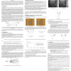 Stereo Analysis Using Individual Evolution Strategy