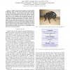 Stereo vision and terrain modeling for quadruped robots