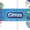 Strategic product development