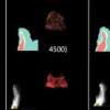 Structuring Feature Space: A Non-Parametric Method for Volumetric Transfer Function Generation