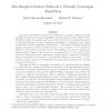 Sub-Sampled Newton Methods I: Globally Convergent Algorithms