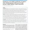 Subdivision of the MDR superfamily of medium-chain dehydrogenases/reductases through iterative hidden Markov model refinement