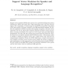 Support vector machines for speaker and language recognition