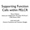 Supporting Function Calls within PELCR