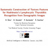 Systematic Construction of Texture Features for Hashimoto's Lymphocytic Thyroiditis Recognition from Sonographic Images