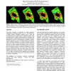 TetFusion: An Algorithm For Rapid Tetrahedral Mesh Simplification