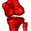 Texture-based segmentation of the knee bones in MRI using phase information