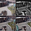 The Effect of Pixel-Level Fusion on Object Tracking in Multi-Sensor Surveillance Video