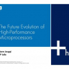 The Future Evolution of High-Performance Microprocessors