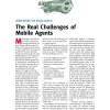 The Real Challenges of Mobile Agents