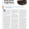 The Rise and Rise of Digital Gluttony