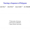 Touring a sequence of polygons