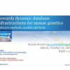 Towards dynamic database infrastructures for mouse genetics