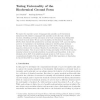 Turing universality of the Biochemical Ground Form