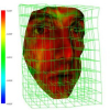 Uncertainties-driven Surface Morphing: The case of Photo-realistic Transitions between Facial Expressions