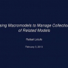 Using Macromodels to Manage Collections of Related Models