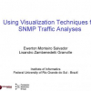 Using visualization techniques for SNMP traffic analyses