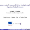 Vandermonde Frequency Division Multiplexing for Cognitive Radio