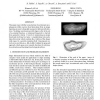 Variational Level-Set Reconstruction of Accretionary Morphogenesis from Images