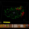 Virtual reality in biological microscopic imaging