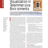 Visualization in Teleimmersive Environments