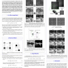 Warplets: an image-dependent wavelet representation