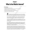 What is the mobile internet?